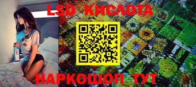 спиды Будённовск