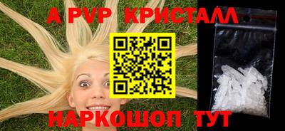 спиды Будённовск