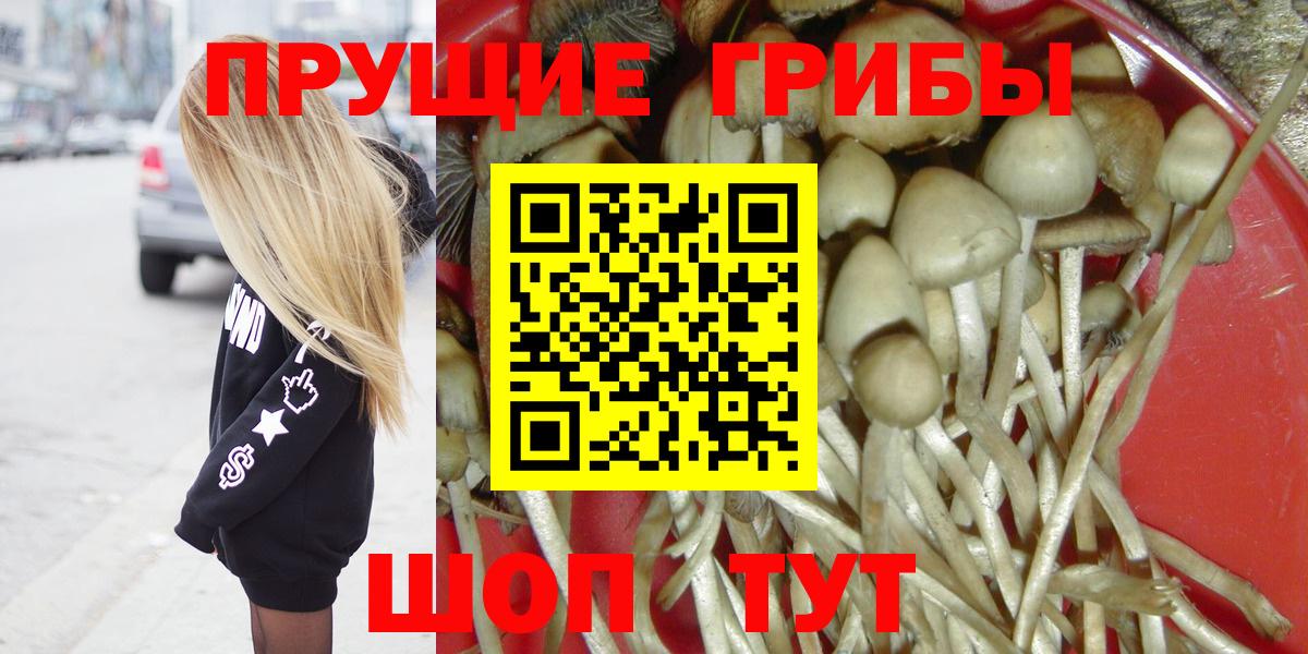 Северодвинск  Псилоцибиновые грибы MAGIC MUSHROOMS  Вход с VPN 