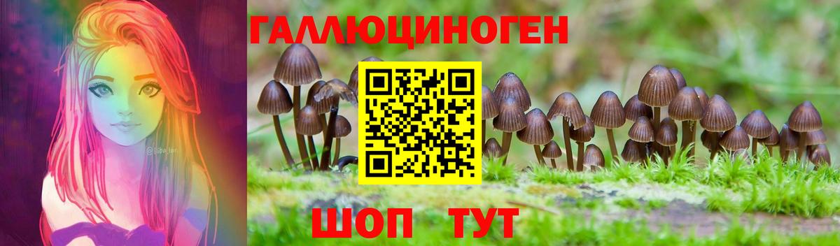 Галлюциногенные грибы Cubensis Северодвинск